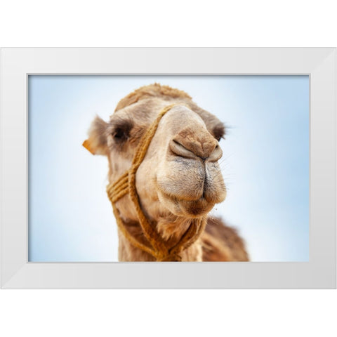 Tunisia 28 White Modern Wood Framed Art Print by Heine, Ben