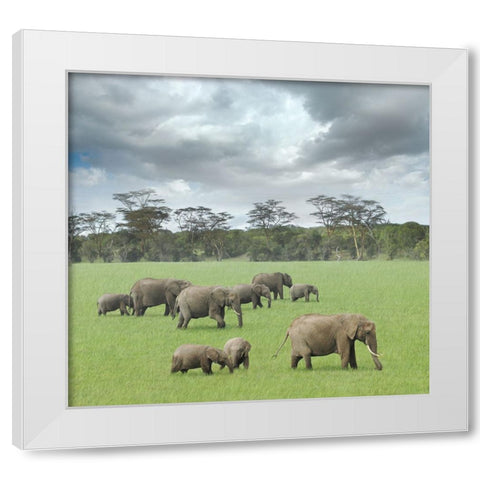 We Are Family 2 White Modern Wood Framed Art Print by Heine, Ben