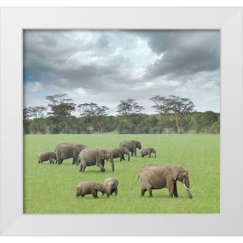 We Are Family 2 White Modern Wood Framed Art Print by Heine, Ben