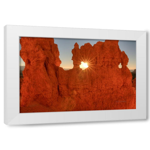 A Twinkle In His Eye White Modern Wood Framed Art Print by Sherrell, Bill