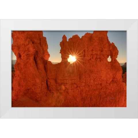 A Twinkle In His Eye White Modern Wood Framed Art Print by Sherrell, Bill