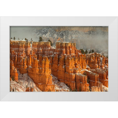 Rise And Shine White Modern Wood Framed Art Print by Sherrell, Bill