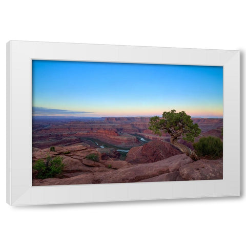 Lone Tree At Dead Horse Point White Modern Wood Framed Art Print by Sherrell, Bill