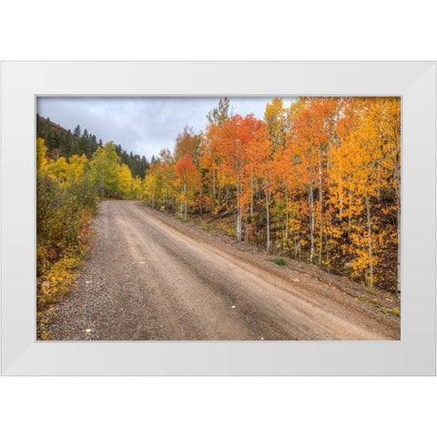 The Road To Color White Modern Wood Framed Art Print by Sherrell, Bill