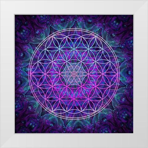 Flower Of Life White Modern Wood Framed Art Print by Gray, Cameron