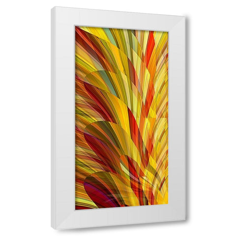 Flower Petals White Modern Wood Framed Art Print by Manlove, David