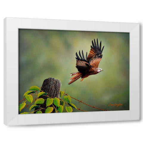 Red Kite White Modern Wood Framed Art Print by Engler, Don