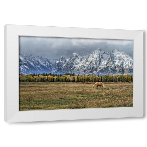 Fine Dining In The Tetons White Modern Wood Framed Art Print by Galloimages Online