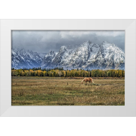 Fine Dining In The Tetons White Modern Wood Framed Art Print by Galloimages Online