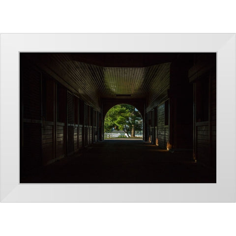 Horse Farm Barn (Inside And Out) White Modern Wood Framed Art Print by Galloimages Online