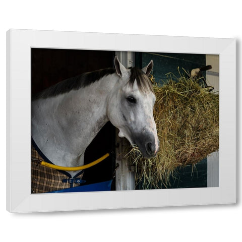 Pre-Race Wheaties White Modern Wood Framed Art Print by Galloimages Online