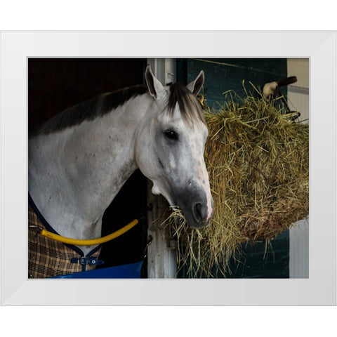 Pre-Race Wheaties White Modern Wood Framed Art Print by Galloimages Online
