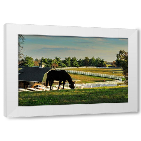 Sunset On The Farm White Modern Wood Framed Art Print by Galloimages Online