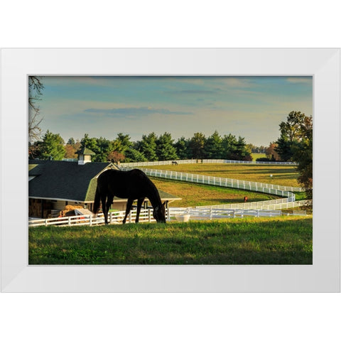 Sunset On The Farm White Modern Wood Framed Art Print by Galloimages Online