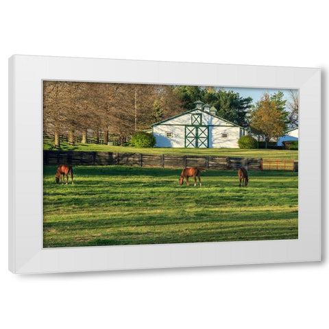 Horse Farm Landscape White Modern Wood Framed Art Print by Galloimages Online