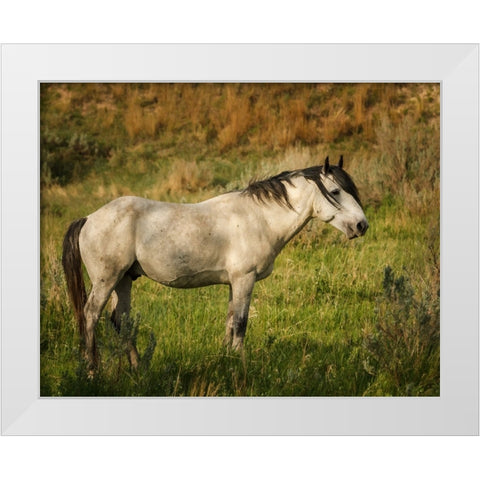 Wild Horse White Modern Wood Framed Art Print by Galloimages Online