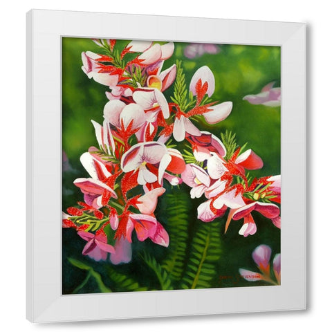 Small Pink White Modern Wood Framed Art Print by Stevenson, Graeme