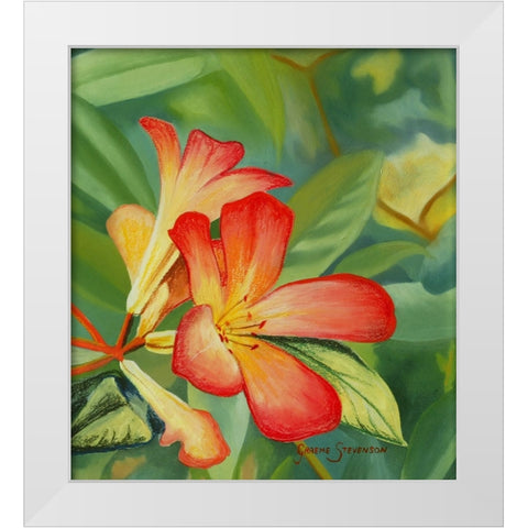 Small Red Flower White Modern Wood Framed Art Print by Stevenson, Graeme