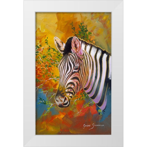 Zebra Days White Modern Wood Framed Art Print by Stevenson, Graeme