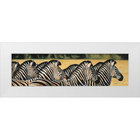 Zebras White Modern Wood Framed Art Print by Stevenson, Graeme