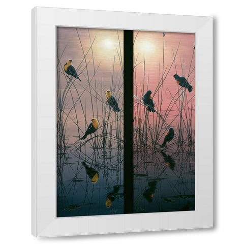 Red Winged And Yellow Headed Blackbirds White Modern Wood Framed Art Print by Tift, Jeff