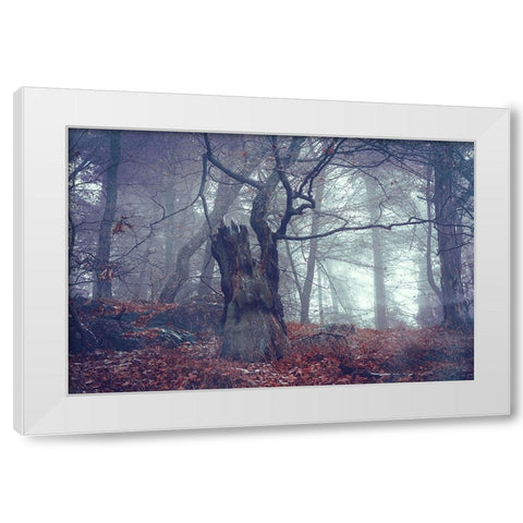 Celtic Guardian White Modern Wood Framed Art Print by Jenny Rainbow Fine Art