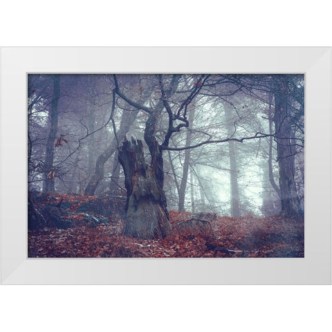 Celtic Guardian White Modern Wood Framed Art Print by Jenny Rainbow Fine Art
