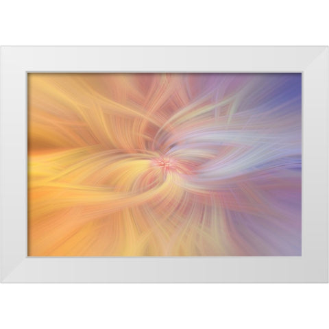 Mystery of Colors Art of Harmony White Modern Wood Framed Art Print by Jenny Rainbow Fine Art