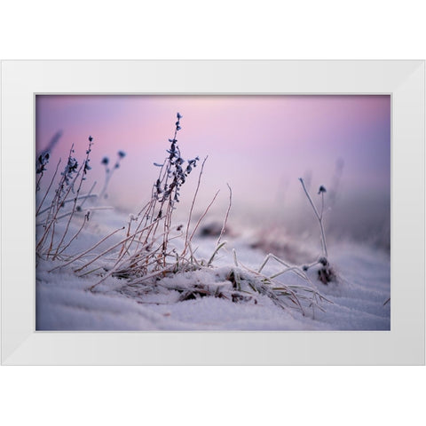 Magic Winter Moments 1 White Modern Wood Framed Art Print by Jenny Rainbow Fine Art
