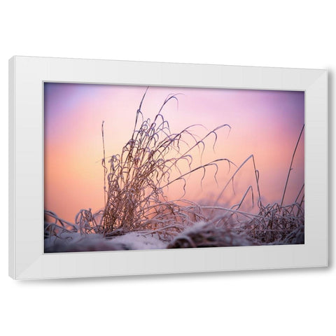 Magic Winter Moments 3 White Modern Wood Framed Art Print by Jenny Rainbow Fine Art