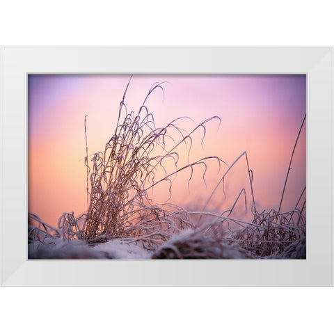 Magic Winter Moments 3 White Modern Wood Framed Art Print by Jenny Rainbow Fine Art