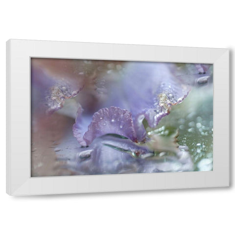 Morning Diamonds Iris Macro 1 White Modern Wood Framed Art Print by Jenny Rainbow Fine Art