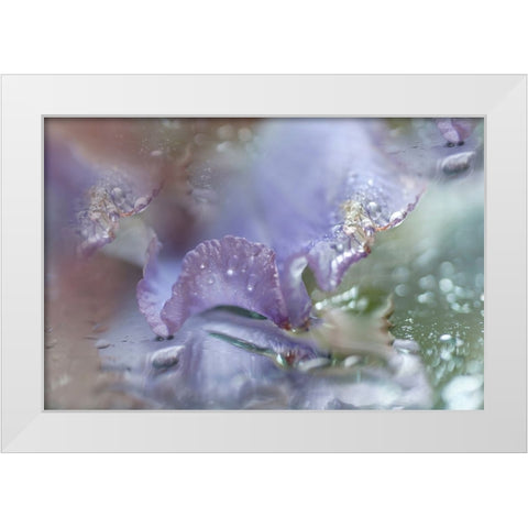 Morning Diamonds Iris Macro 1 White Modern Wood Framed Art Print by Jenny Rainbow Fine Art