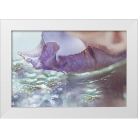 Morning Diamonds Iris Macro 2 White Modern Wood Framed Art Print by Jenny Rainbow Fine Art