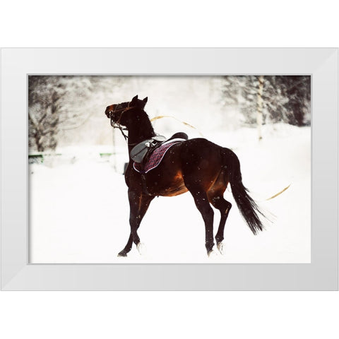 Race in the Snow White Modern Wood Framed Art Print by Jenny Rainbow Fine Art