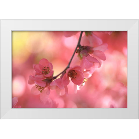 Sensual Touch of Spring White Modern Wood Framed Art Print by Jenny Rainbow Fine Art