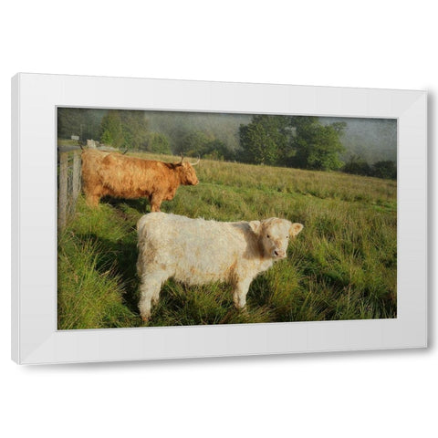 Essential Rural Life White Modern Wood Framed Art Print by Jenny Rainbow Fine Art
