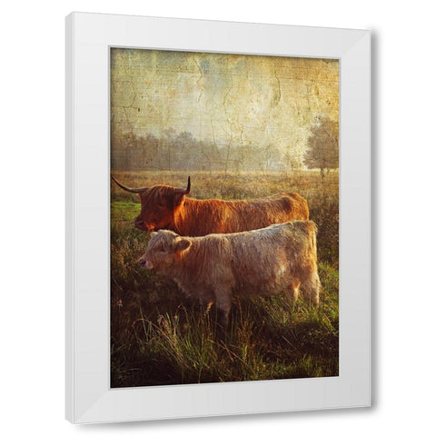 Highlanders White Modern Wood Framed Art Print by Jenny Rainbow Fine Art