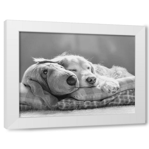 Dog Sleeping with Friend White Modern Wood Framed Art Print by Schell, Jennie Marie