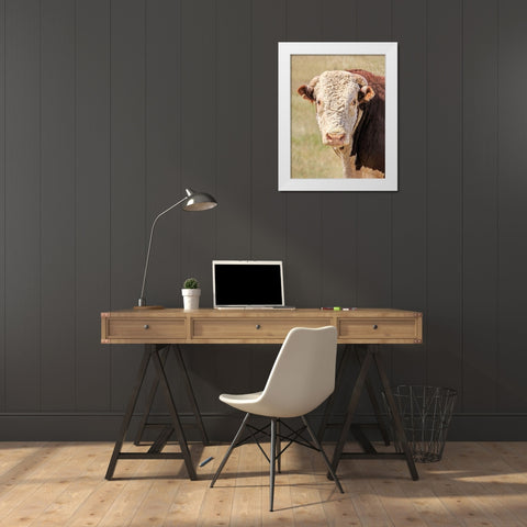 Hereford Bull Color White Modern Wood Framed Art Print by Schell, Jennie Marie