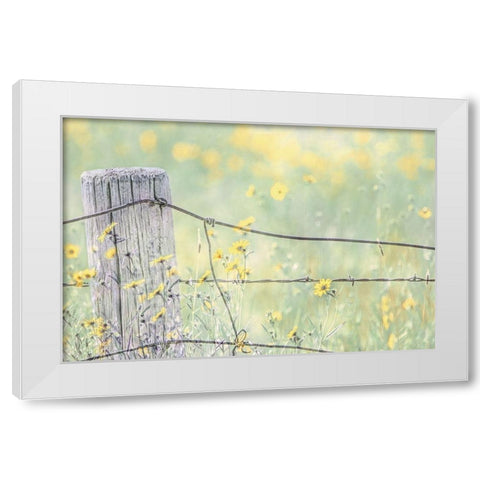 Wildflowers By Fence Post Color White Modern Wood Framed Art Print by Schell, Jennie Marie