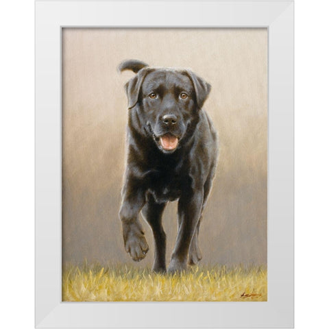 234 White Modern Wood Framed Art Print by Silver, John