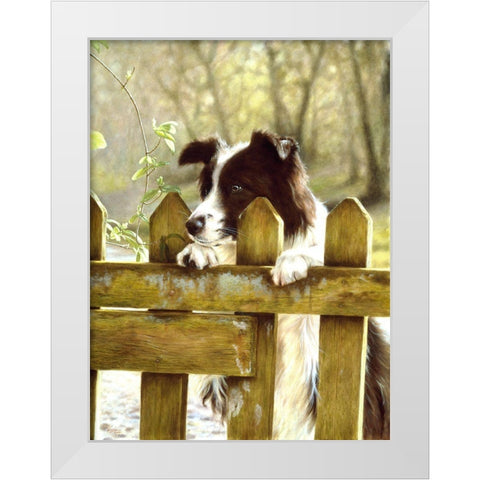 Jsm29-A White Modern Wood Framed Art Print by Silver, John