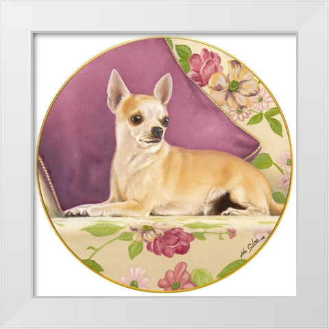 Chihuahua With Pillow White Modern Wood Framed Art Print by Silver, John