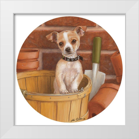 Chihuahua In Basket White Modern Wood Framed Art Print by Silver, John