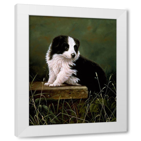 Js42-A White Modern Wood Framed Art Print by Silver, John