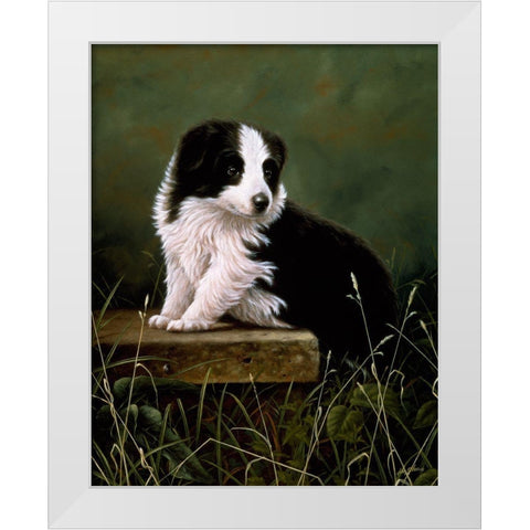 Js42-A White Modern Wood Framed Art Print by Silver, John