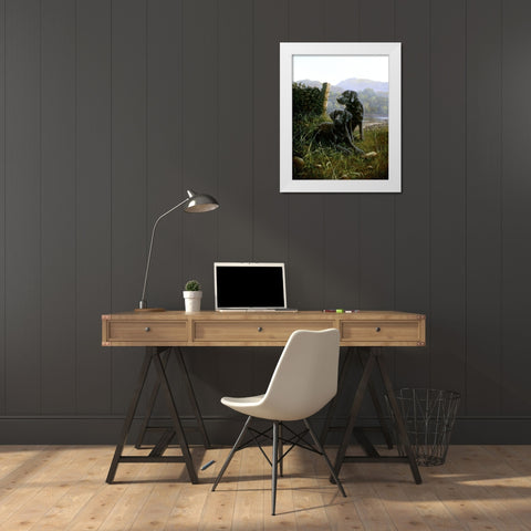 Country Companions White Modern Wood Framed Art Print by Silver, John