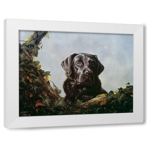 Js9-F White Modern Wood Framed Art Print by Silver, John