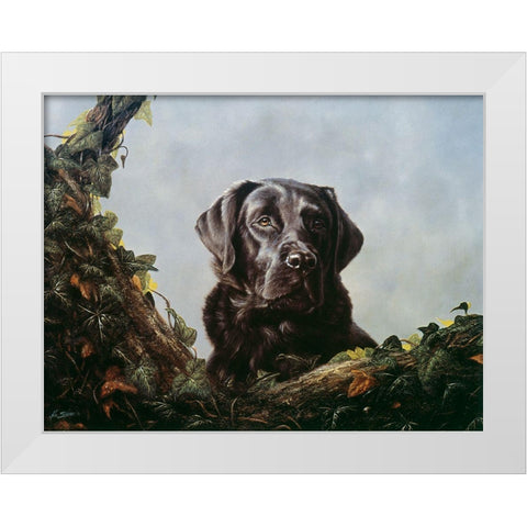 Js9-F White Modern Wood Framed Art Print by Silver, John